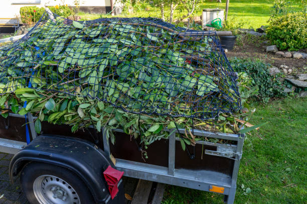 Best Scrap Metal Removal  in Kingston Springs, TN